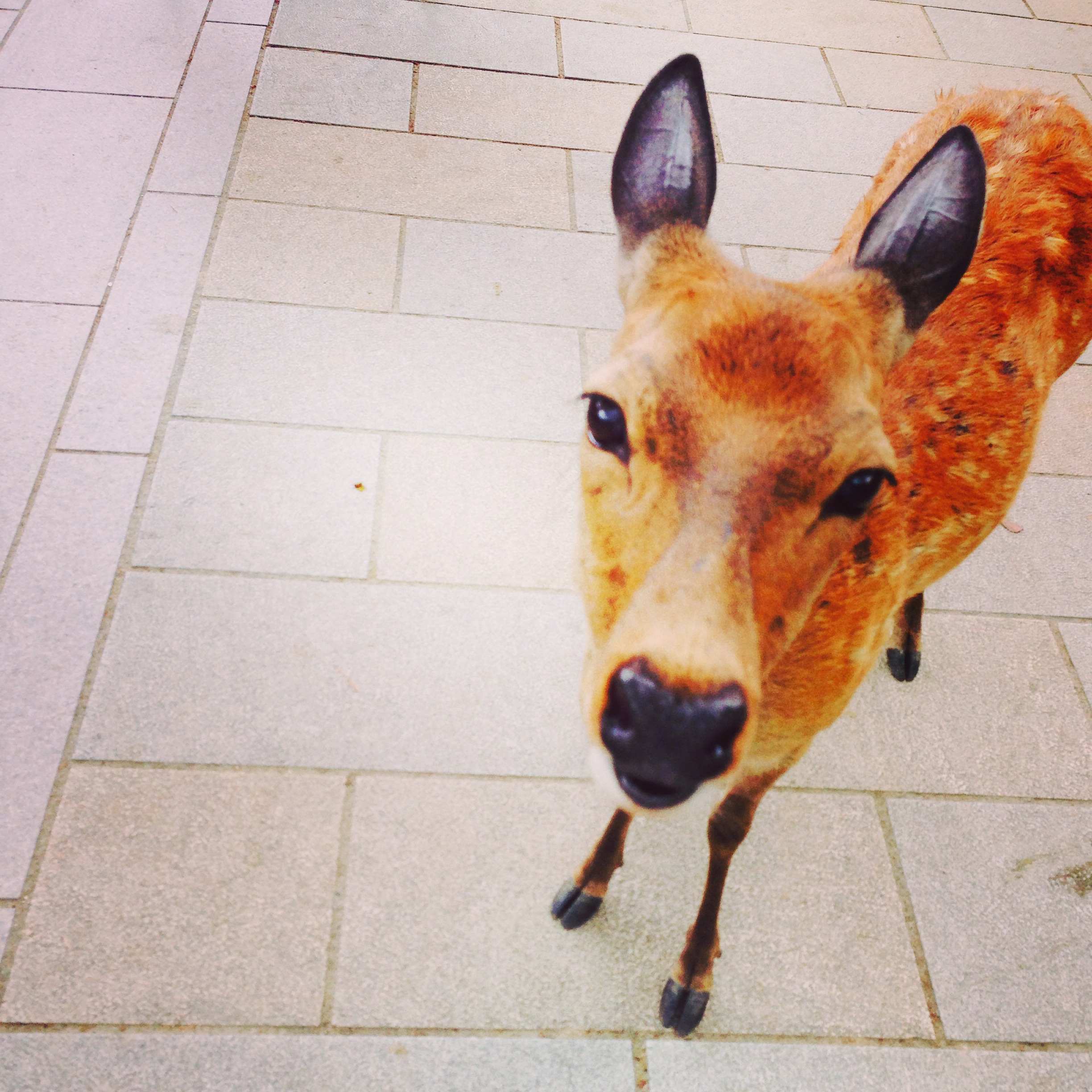 西北ハートクリニック