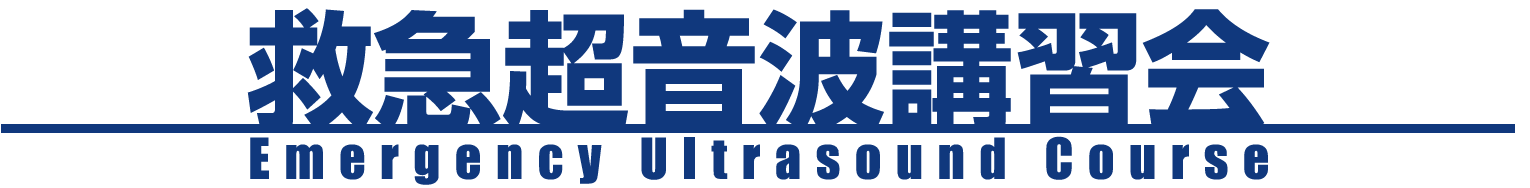 Team Ultrasound Japan