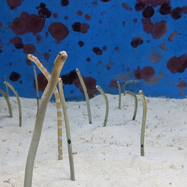 通所リハビリテーション環ごころ