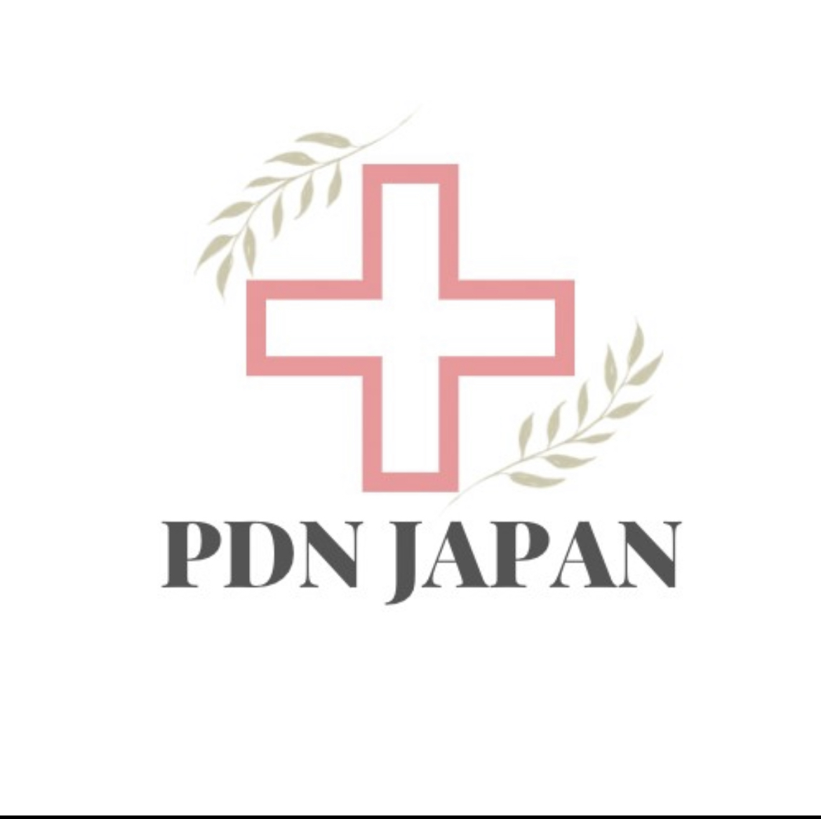 株式会社PDN Japan