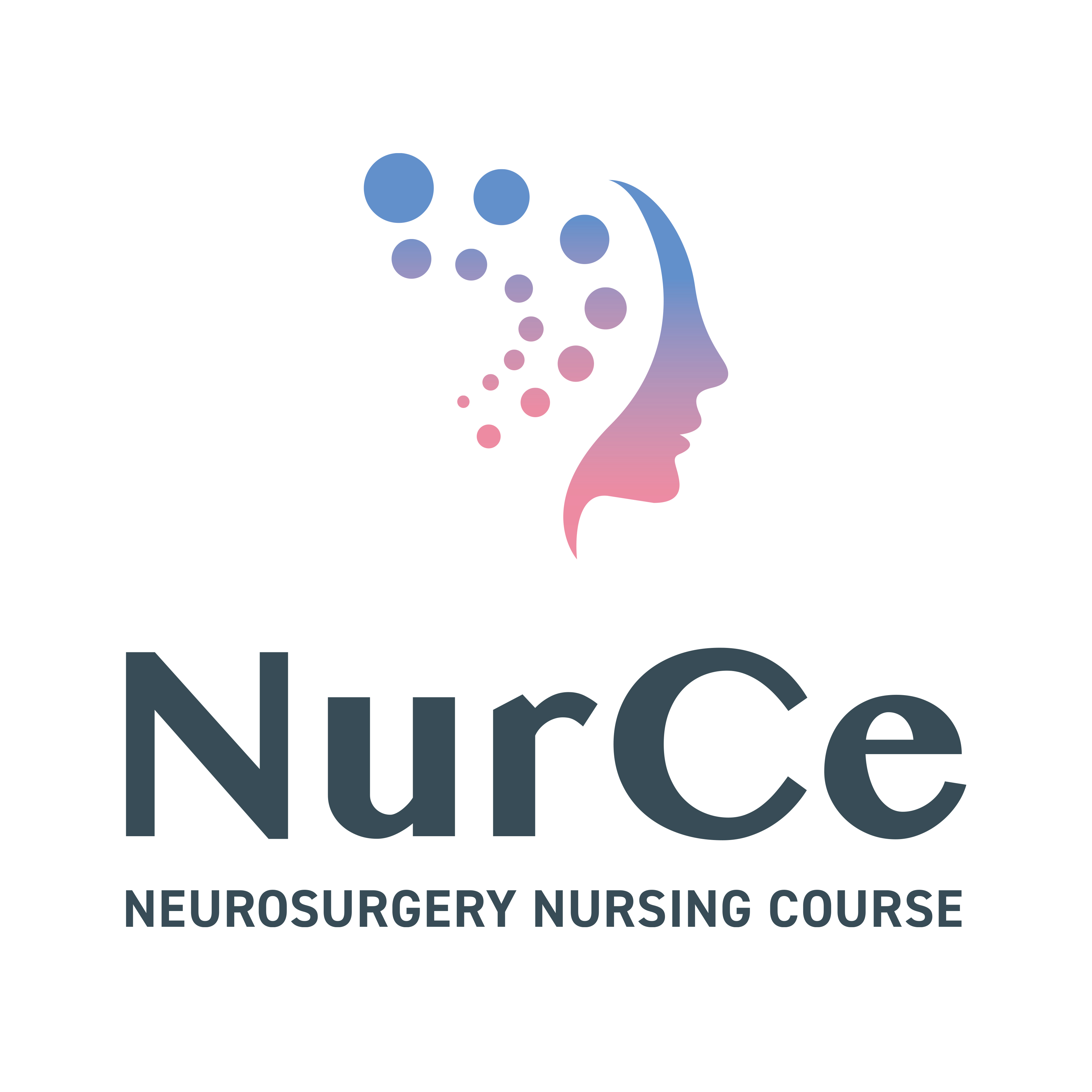 一般社団法人NurCe脳神経外科看護研究会