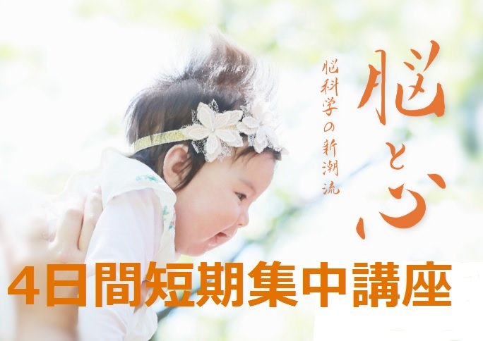 京大オリジナル株式会社