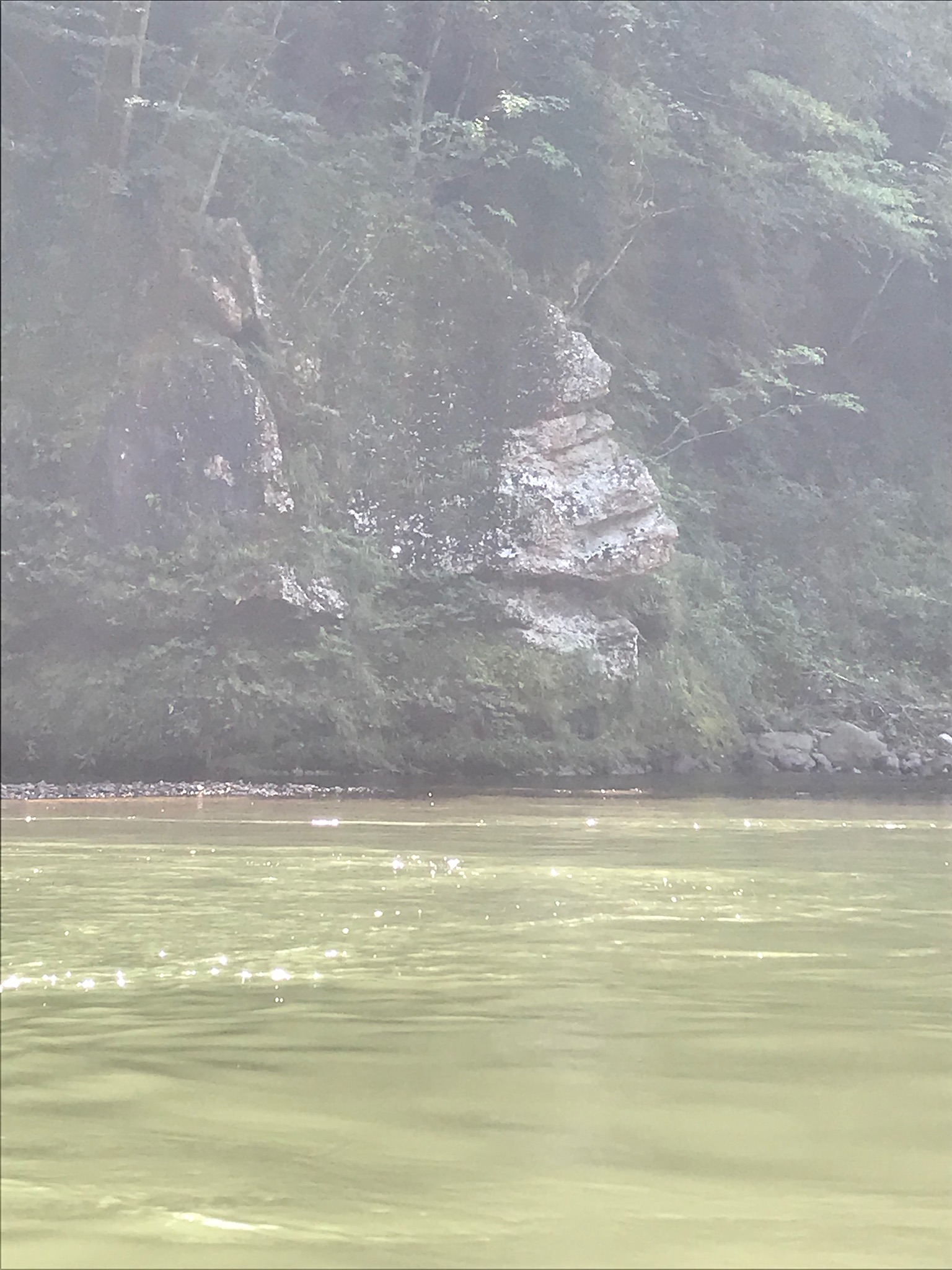 白岡中央総合病院