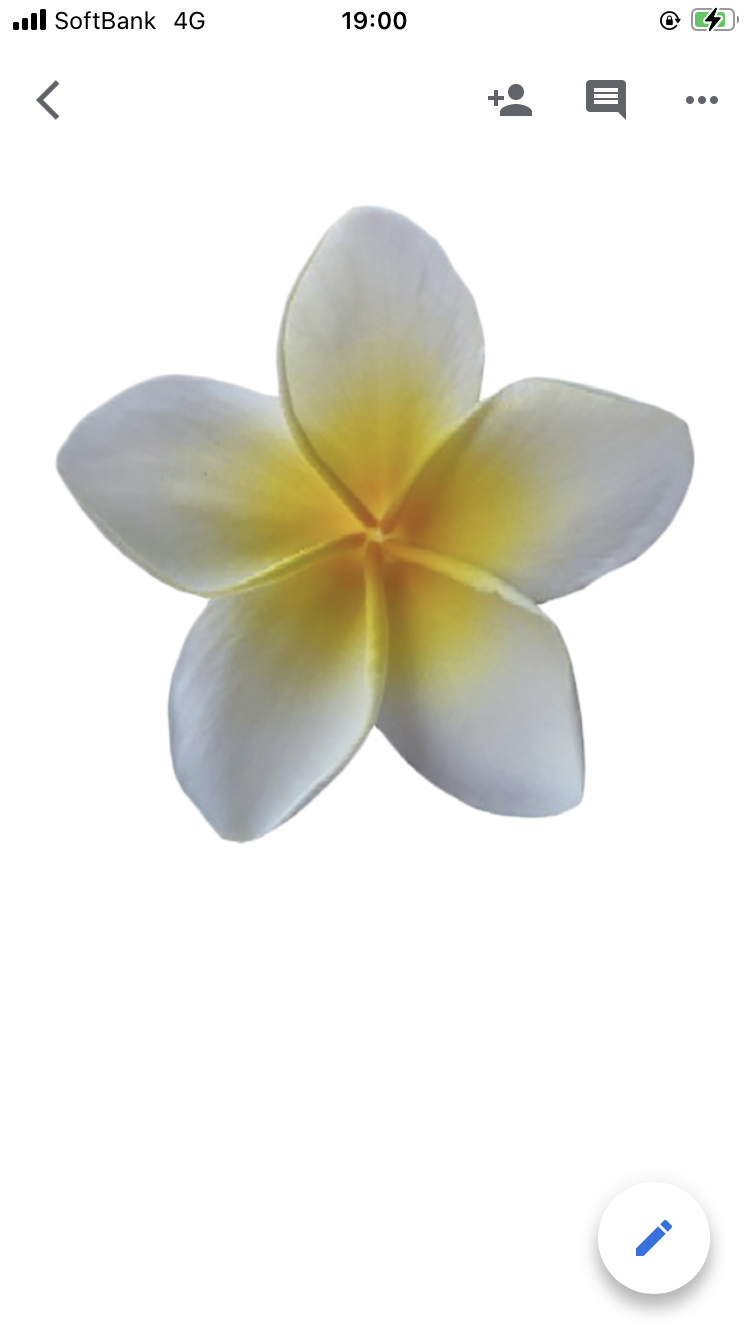 株式会社Global Nursing Education and Consultation 