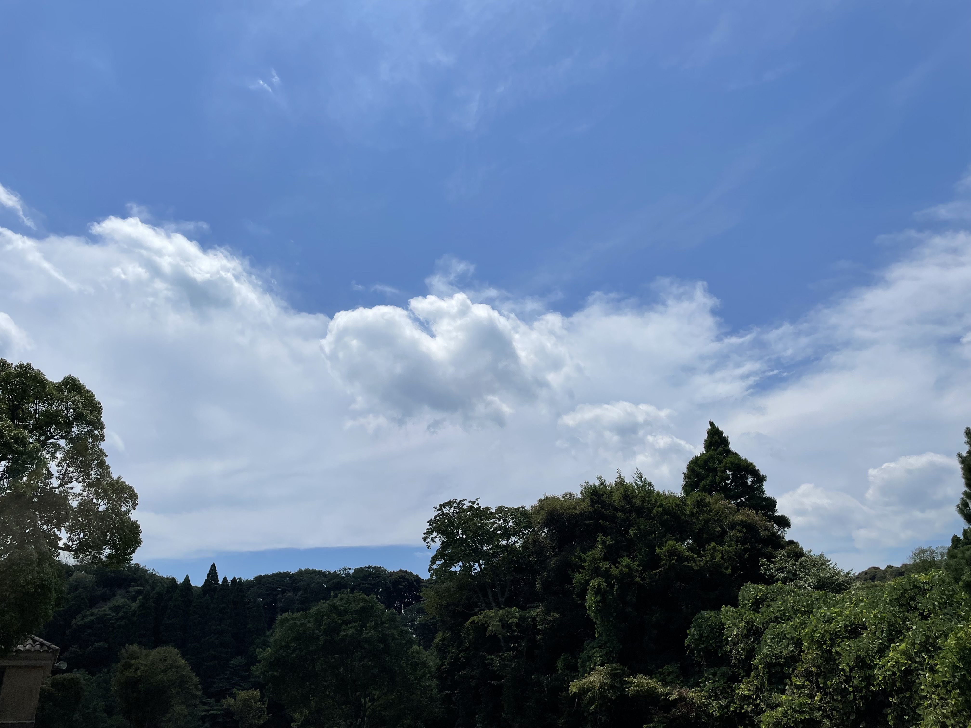 新百合ヶ丘総合病院