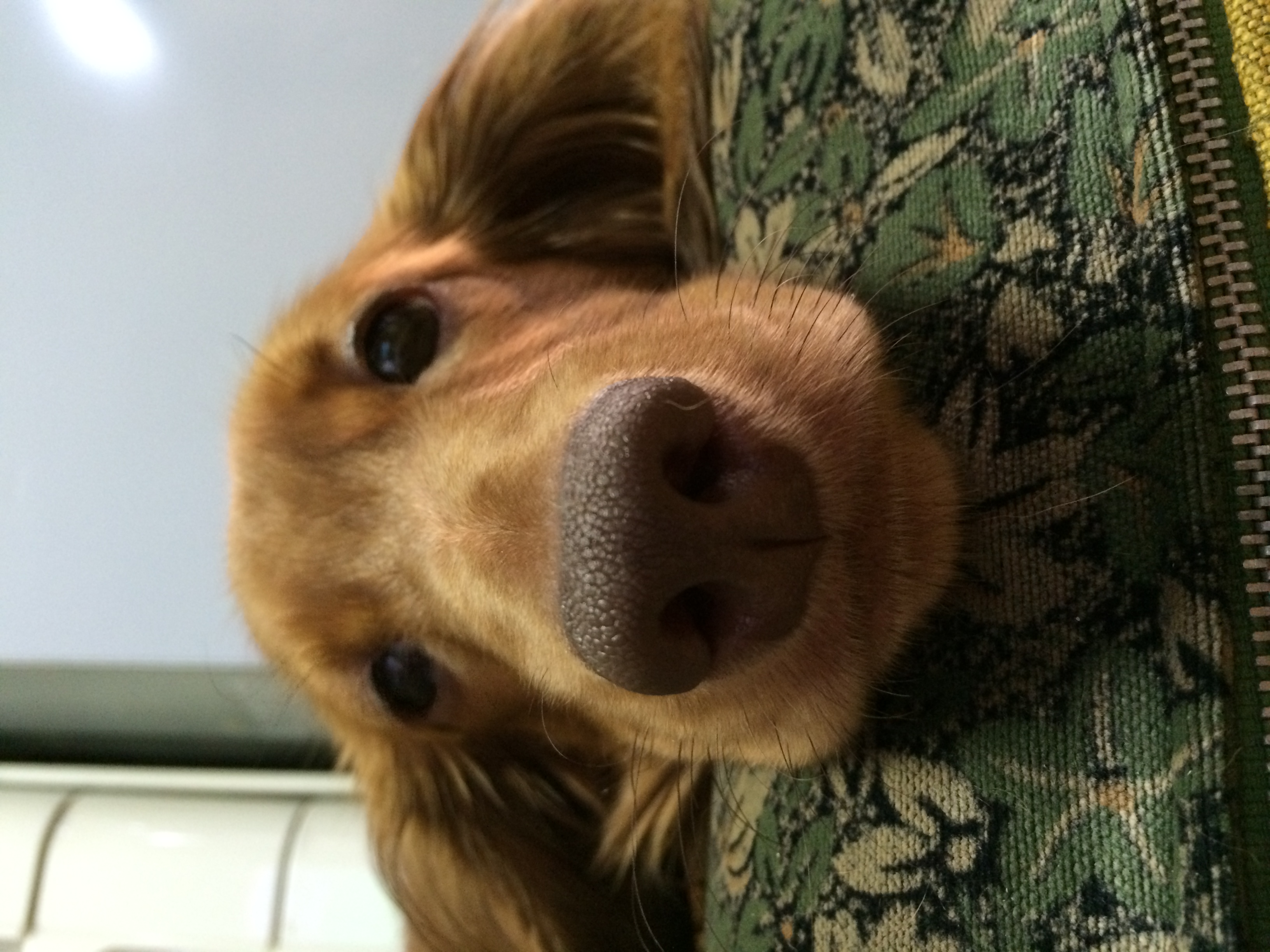 看護クラーク東戸塚