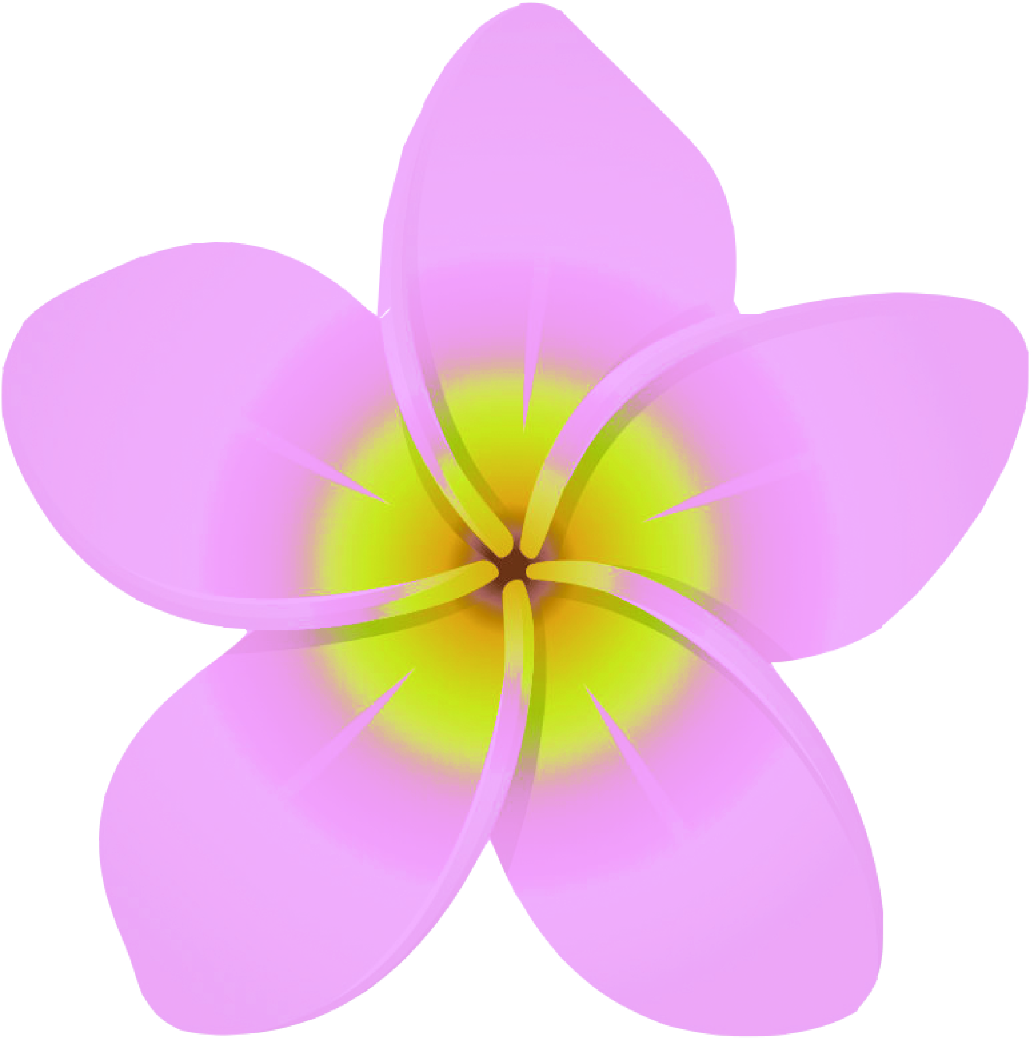 日本エコー検査株式会社