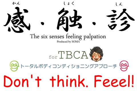 シン・オステインマイスター協会