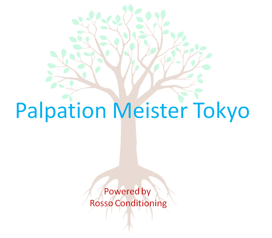 PalpationMeisterTokyo
